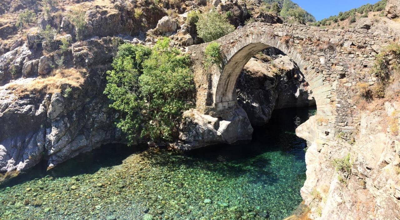 Villa Grand Confort A 500M De La Plage De Lozari Palasca  Εξωτερικό φωτογραφία